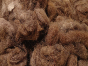 Organic Spinning and Felting Wool  Brown