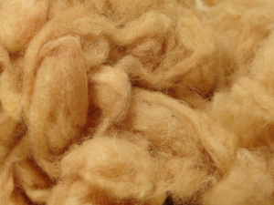 Organic Spinning and Felting Wool  Earth