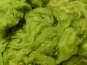 Organic Spinning and Felting Wool  Lime Green