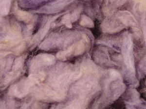 Organic Spinning and Felting Wool Purple